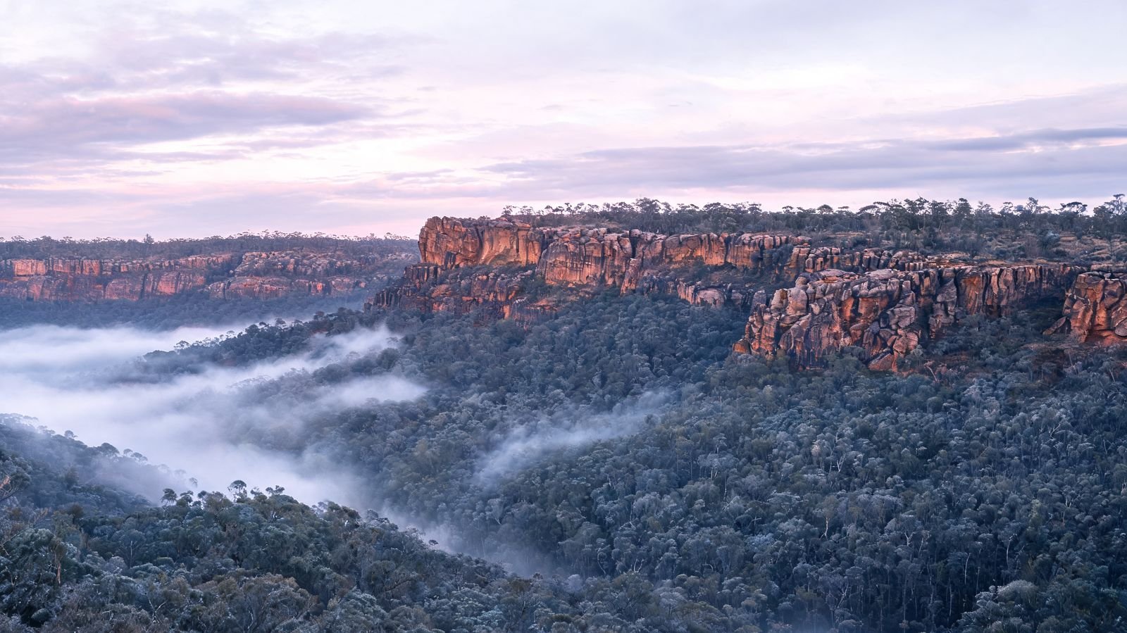 Mist-filled forested gorge beneath sandstone cliffs in the NSW Southern Highlands